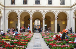 fuorisalone-2016-palazzo turati-cover